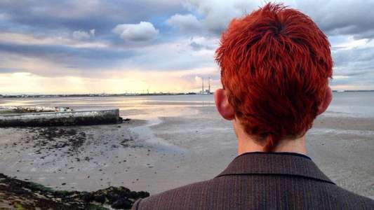 Handsome Devil - Backdrop
