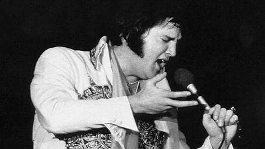 Elvis: The Rebirth of the King - Backdrop