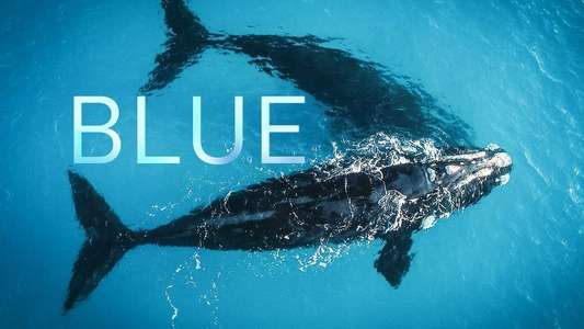 Blue - Backdrop