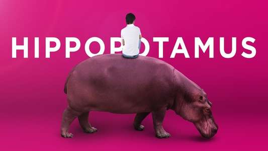 The Hippopotamus - Backdrop