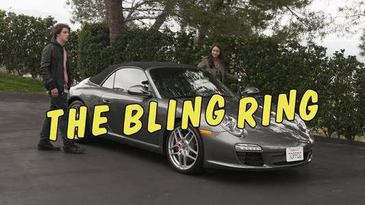 The Bling Ring - Backdrops