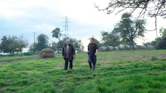 The Levelling - Backdrop