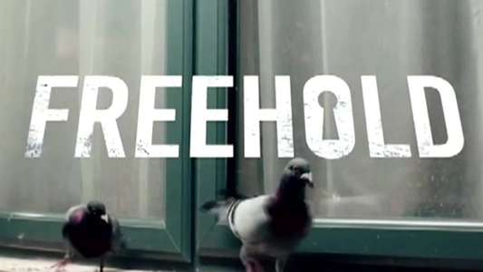 Freehold - Backdrop