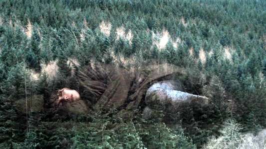 Under the Skin - Backdrop