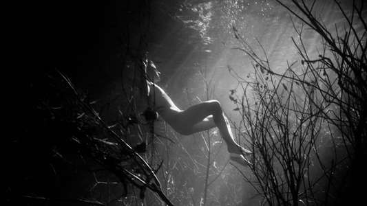 Swimmer - Backdrops