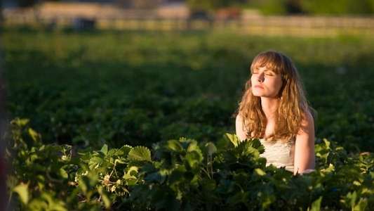 Strawberry Fields - Backdrops