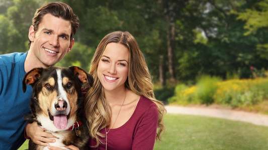 Love at First Bark - Backdrop