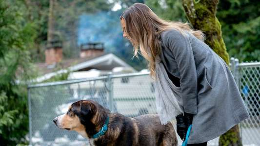 Love at First Bark - Backdrop