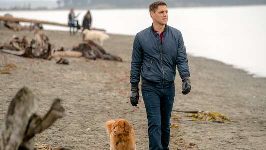 Walking the Dog - Backdrop