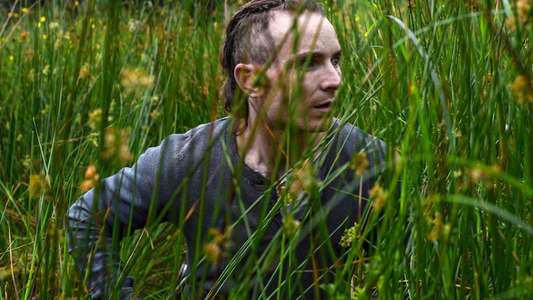 The Survivalist - Backdrop