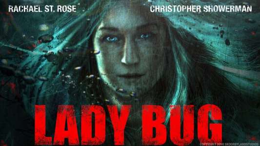 Lady Bug - Backdrop