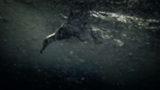 Leviathan - Backdrops