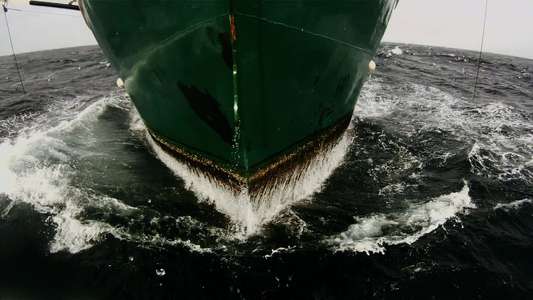 Leviathan - Backdrops