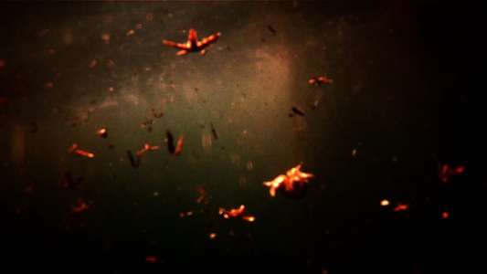 Leviathan - Backdrops