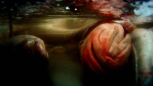 Leviathan - Backdrops