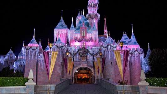 The Wonderful World of Disney: Magical Holiday Celebration - Backdrop