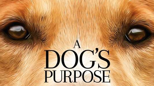 A Dog's Purpose - Backdrop