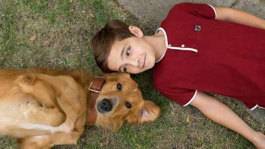 A Dog's Purpose - Backdrop