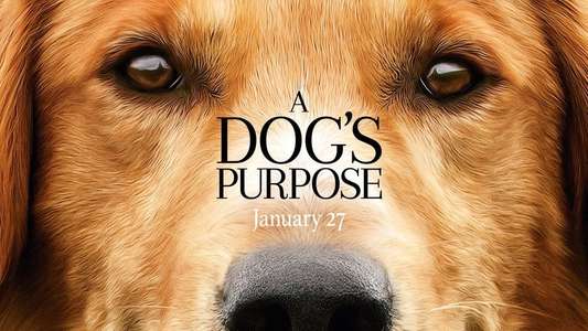 A Dog's Purpose - Backdrop