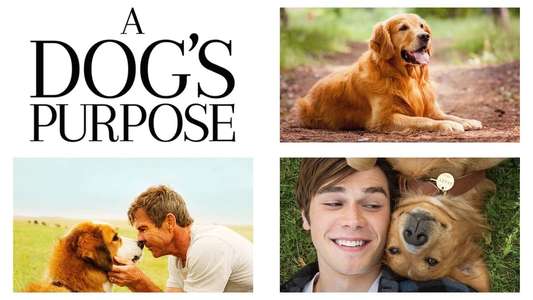 A Dog's Purpose - Backdrop