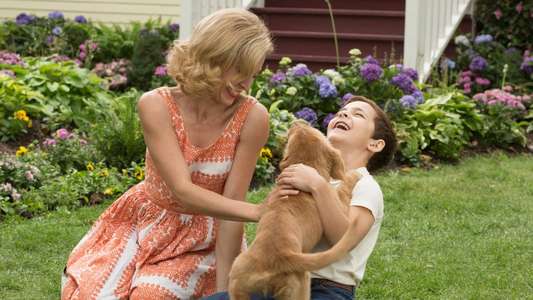 A Dog's Purpose - Backdrop