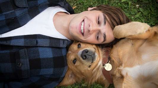 A Dog's Purpose - Backdrop