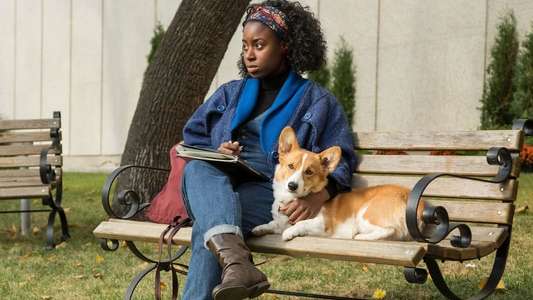 A Dog's Purpose - Backdrop