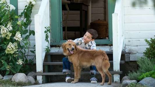 A Dog's Purpose - Backdrop