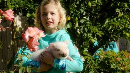 Arlo: The Burping Pig - Backdrop