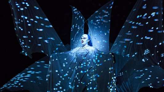 The magic flute - Backdrops