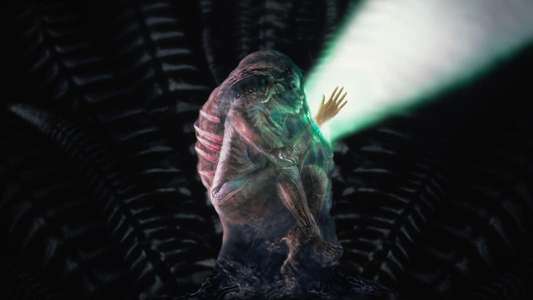 Species - Backdrop