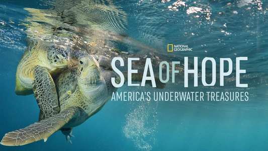 Sea of Hope: America's Underwater Treasures - Backdrops