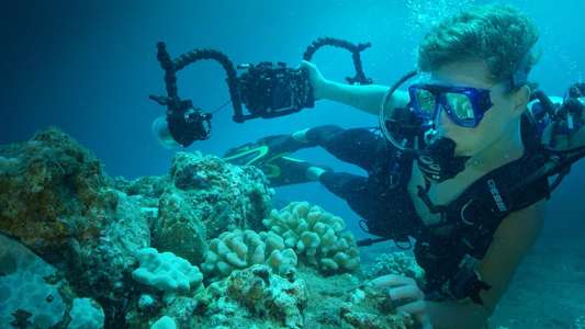 Sea of Hope: America's Underwater Treasures - Backdrops
