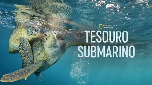 Sea of Hope: America's Underwater Treasures - Backdrops