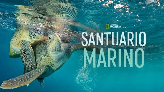 Sea of Hope: America's Underwater Treasures - Backdrops