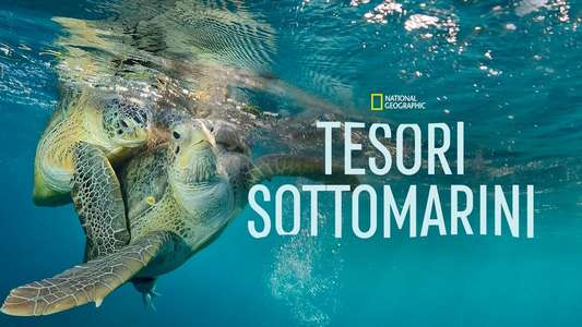 Sea of Hope: America's Underwater Treasures - Backdrops