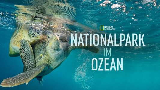 Sea of Hope: America's Underwater Treasures - Backdrops