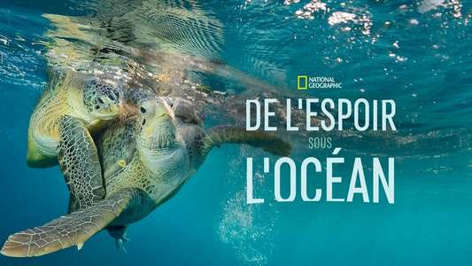 Sea of Hope: America's Underwater Treasures - Backdrops