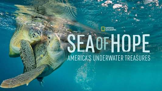 Sea of Hope: America's Underwater Treasures - Backdrops