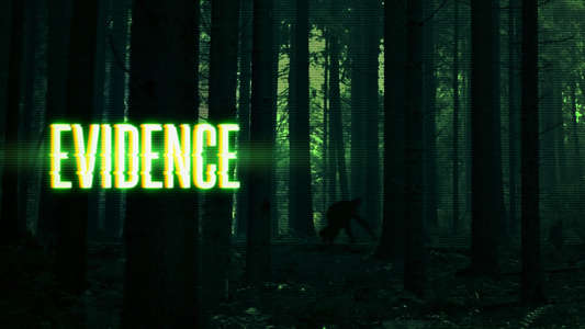 Evidence - Backdrop