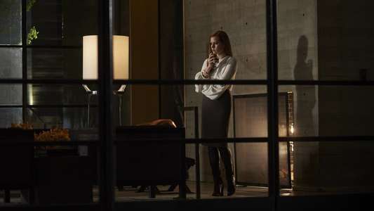 Nocturnal Animals - Backdrop