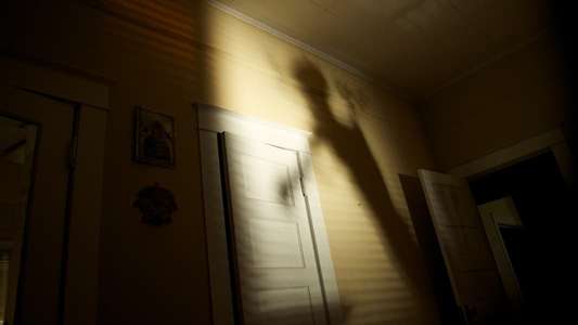 Shadow People - Backdrops