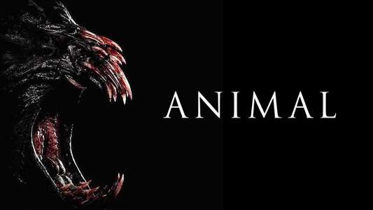 Animal - Backdrop