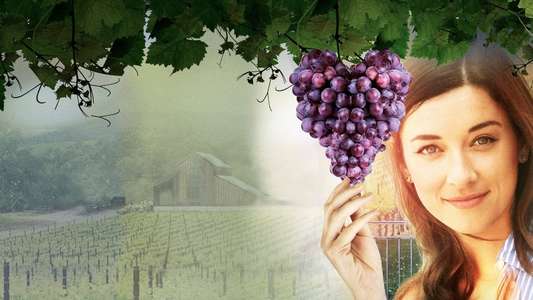 Love on the Vines - Backdrop
