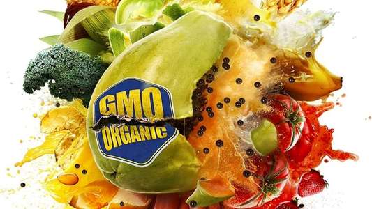 Food Evolution - Backdrop