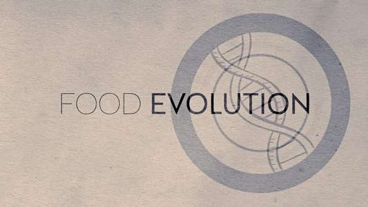 Food Evolution - Backdrop
