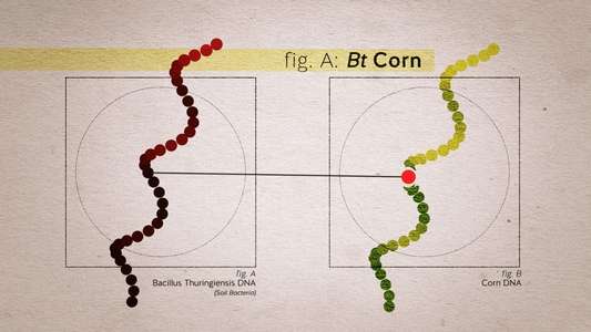 Food Evolution - Backdrop