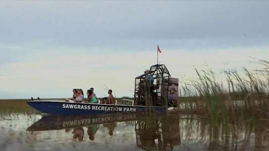 Lake Fear 2: The Swamp - Backdrop