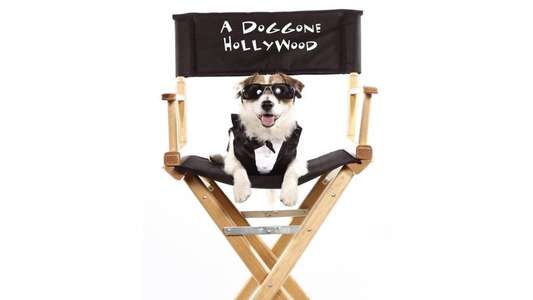 A Doggone Hollywood - Backdrop
