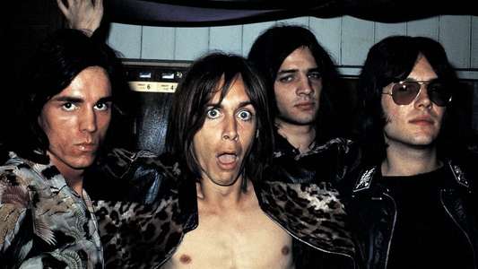 Gimme Danger - Backdrop
